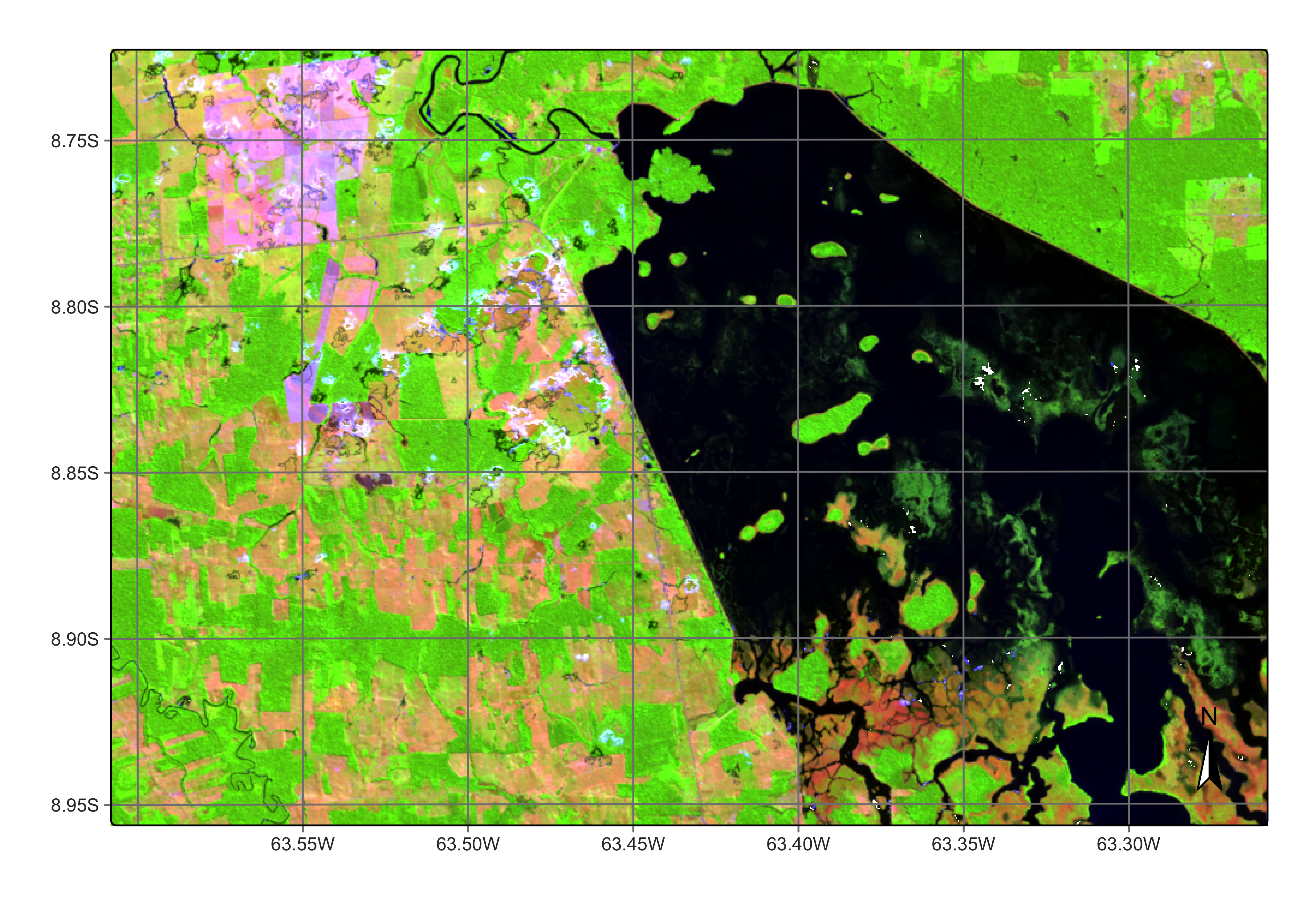 Area in Rondonia near Samuel dam (source: authors).