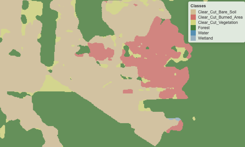 Detail of labelled map produced by pixel-based random forest after smoothing (source: uthors)