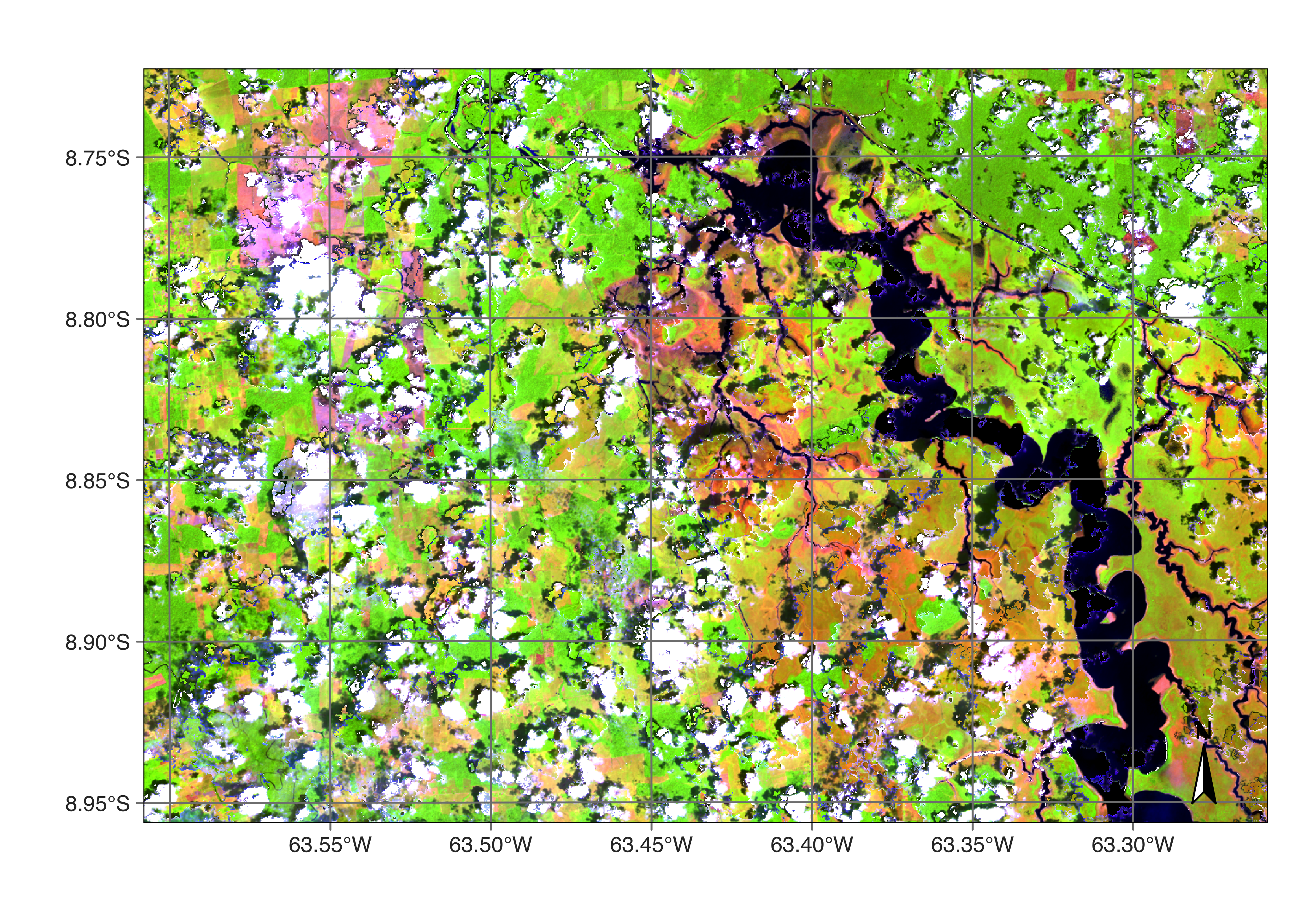 Area in Rondonia near Samuel dam in November 2021 (Source: Authors).