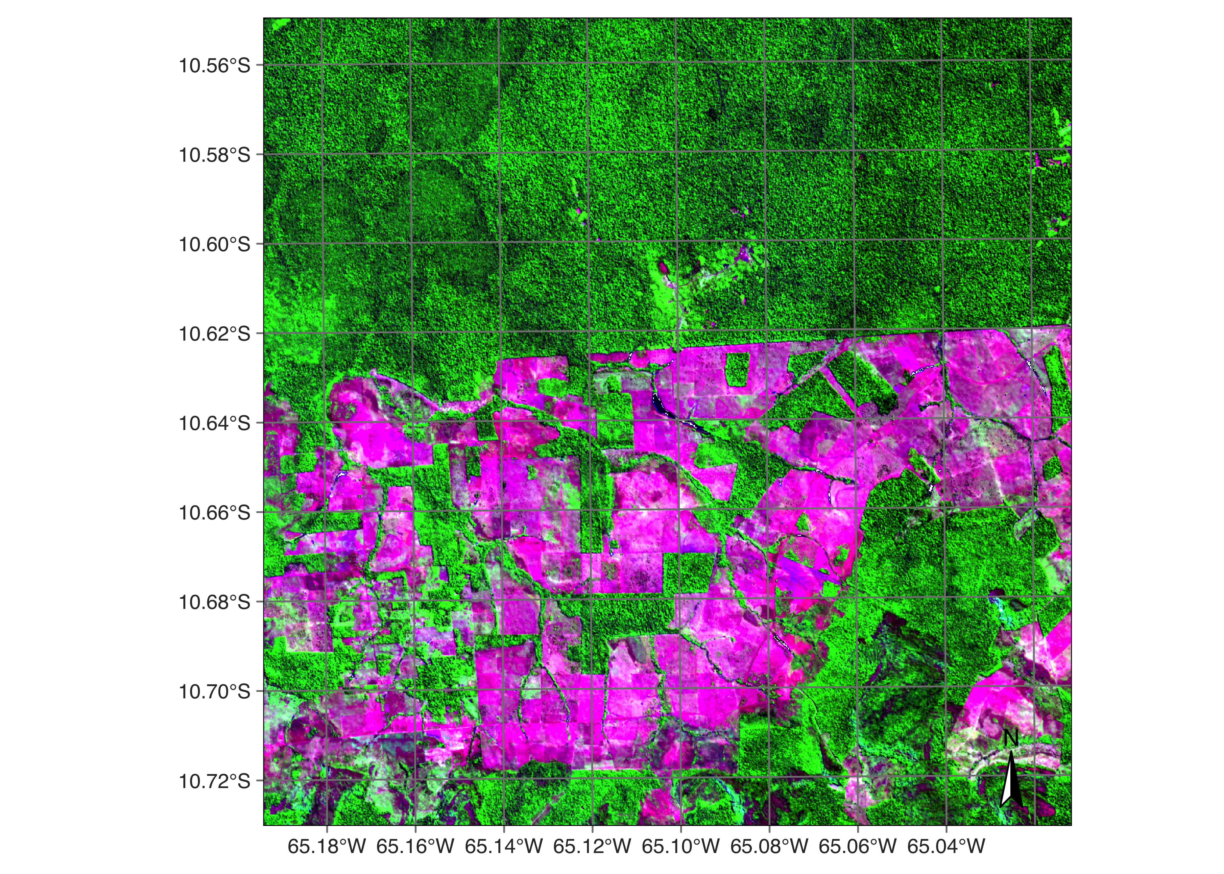 Sentinel-2 image over an area in Rondonia, Brazil (Source: Authors).